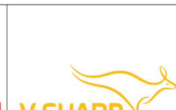 V-Guard logo
