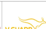 V-Guard logo