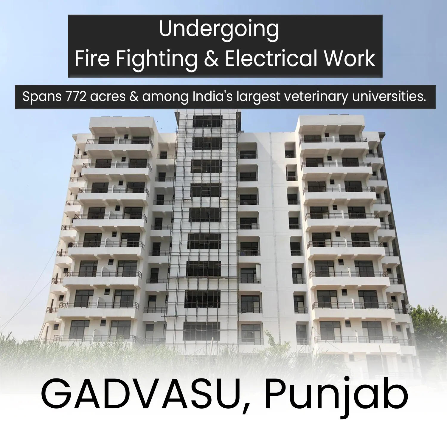 Fire Fighting & Electrical for GADVASU Campus — GADVASU project by Secured Engineers