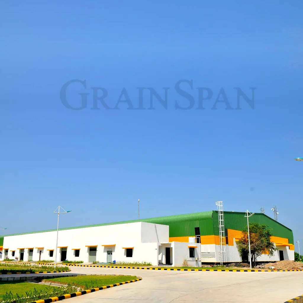 GrainSpan project in India by Secured Engineers